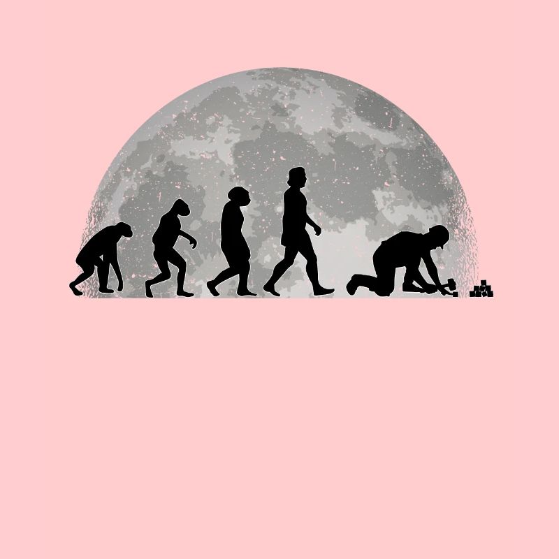 Pavage Evolution Lune Pierre Cadeau