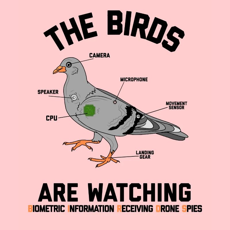 Les oiseaux regardent la conspiration des drones drôle