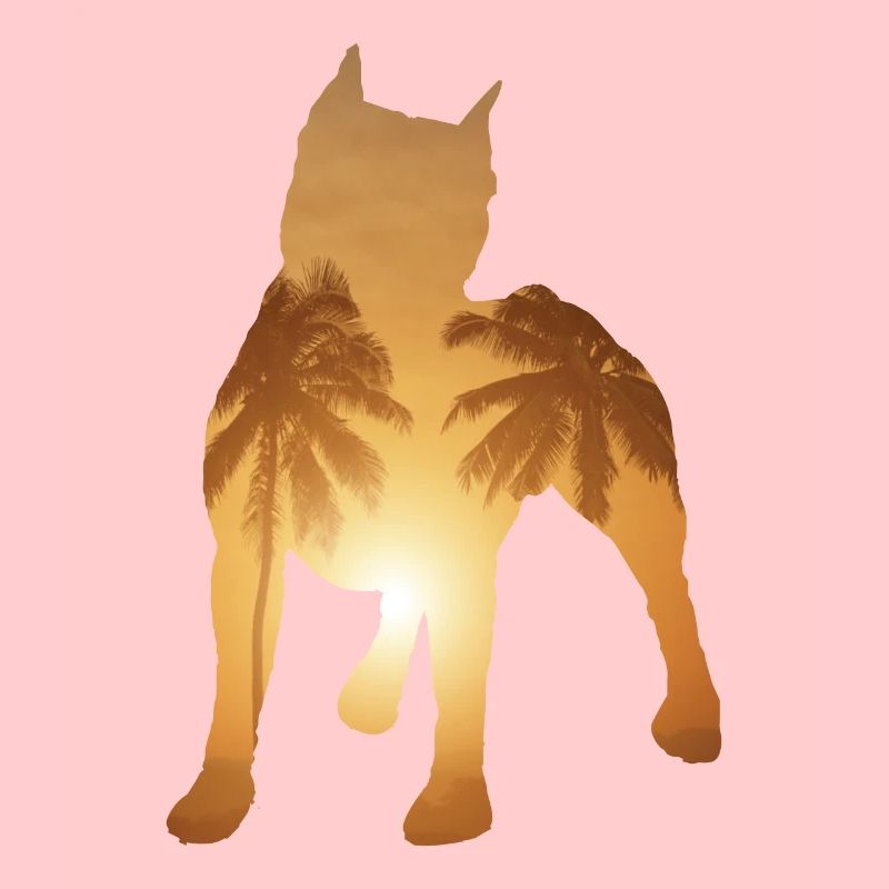 Summer beach - Pitbull