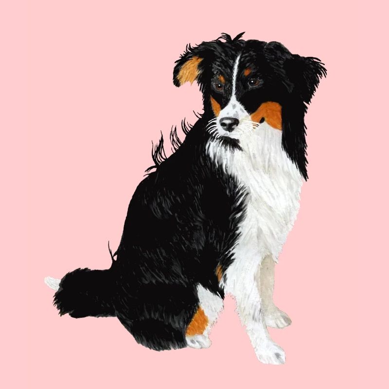 Aussie Nanouk, assis - Aquarelle