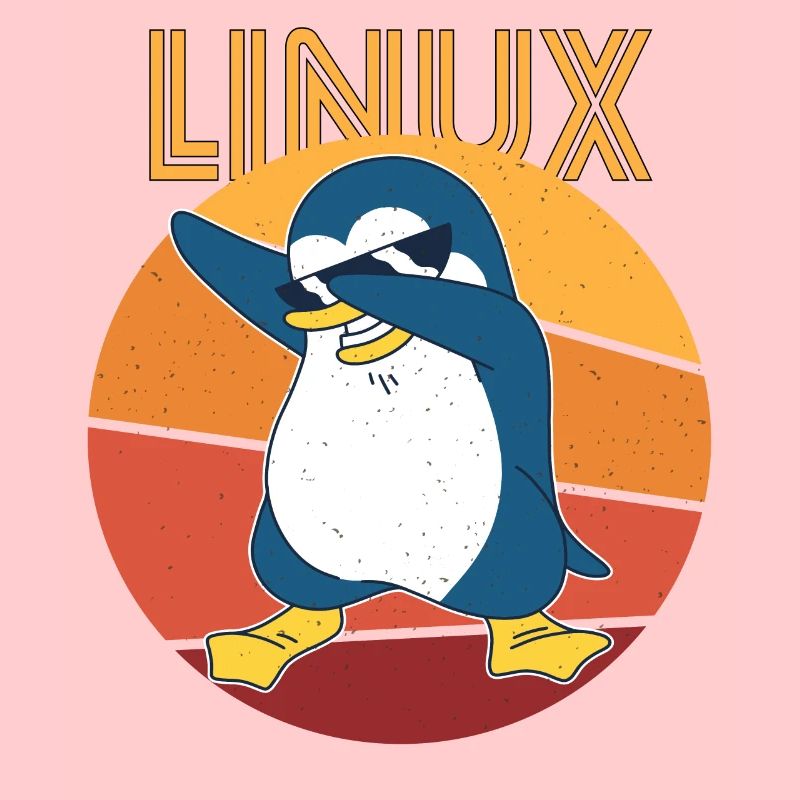 Linux Admin Cool Penguin Nerd Informatics