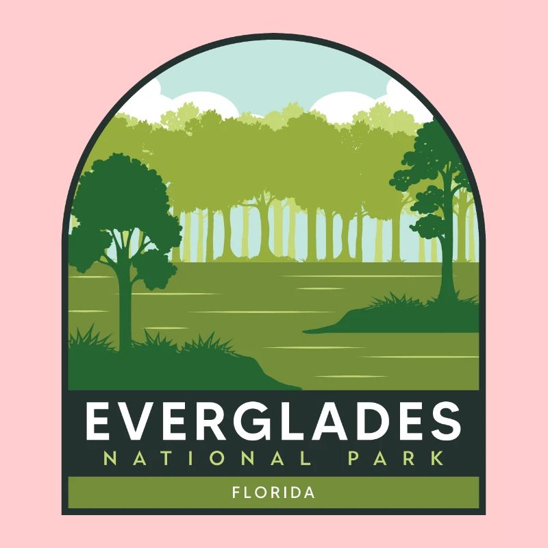 Florida National Park Everglades Crocodile Wandersou