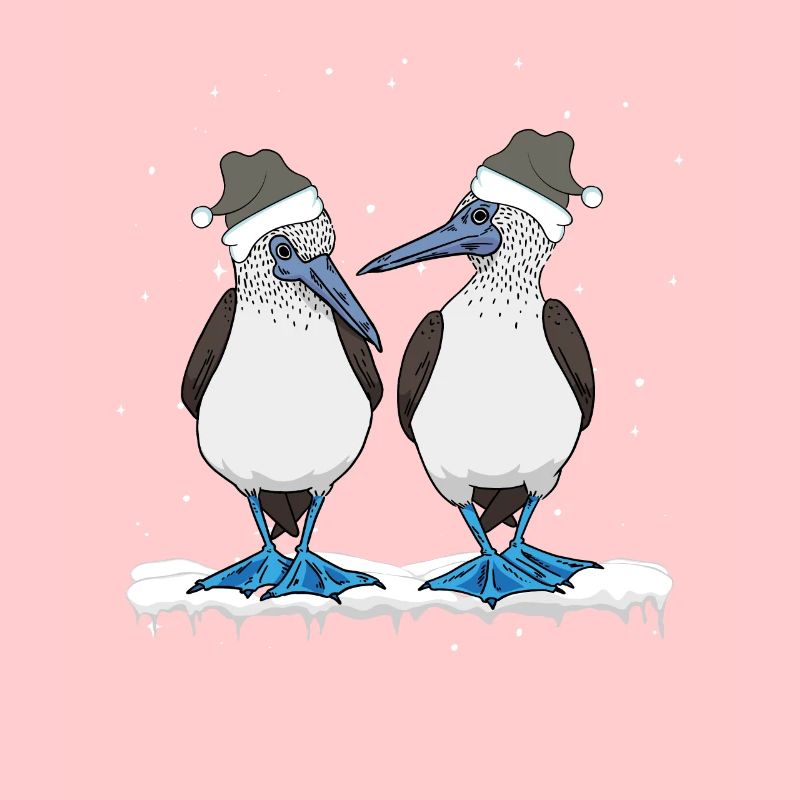Noël à pieds bleus