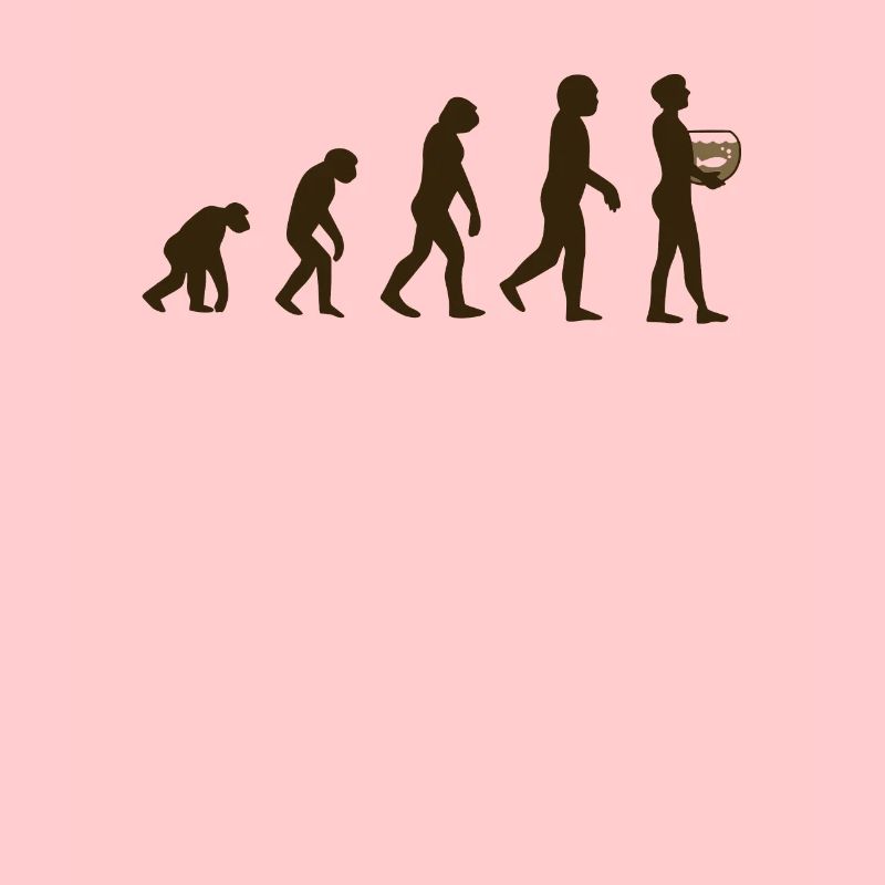 Évolution de l’aquarium