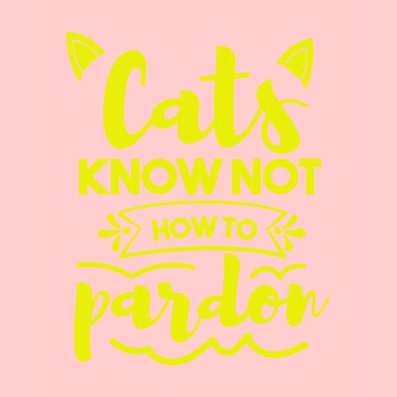 LES CHATS NE SAVENT PAS PARDONNER