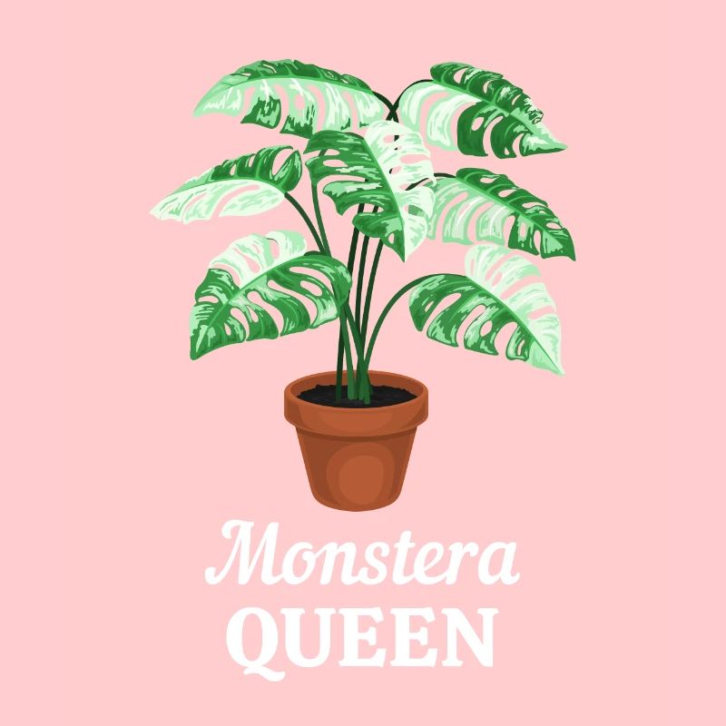 Monstera Queen