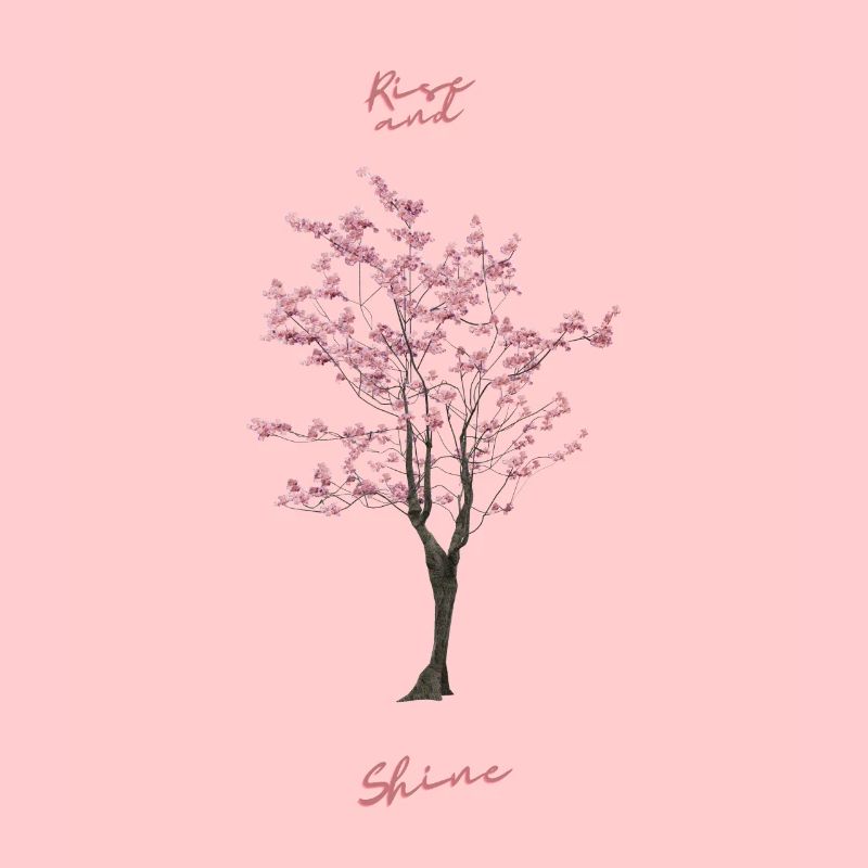 SAKURA TREE. Werde groß und blühe auf.