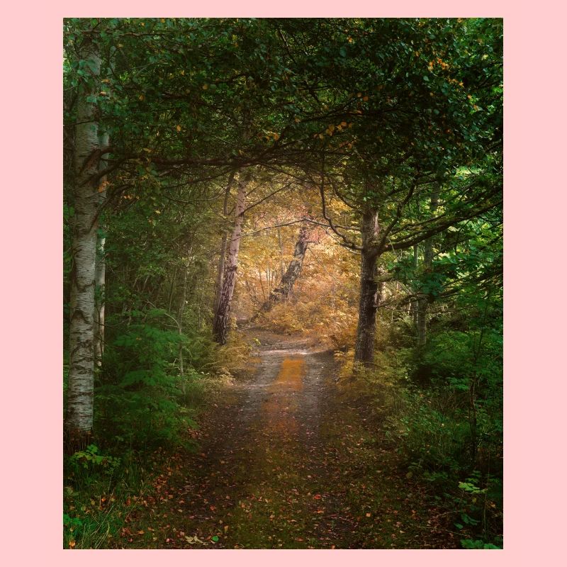 Forêt