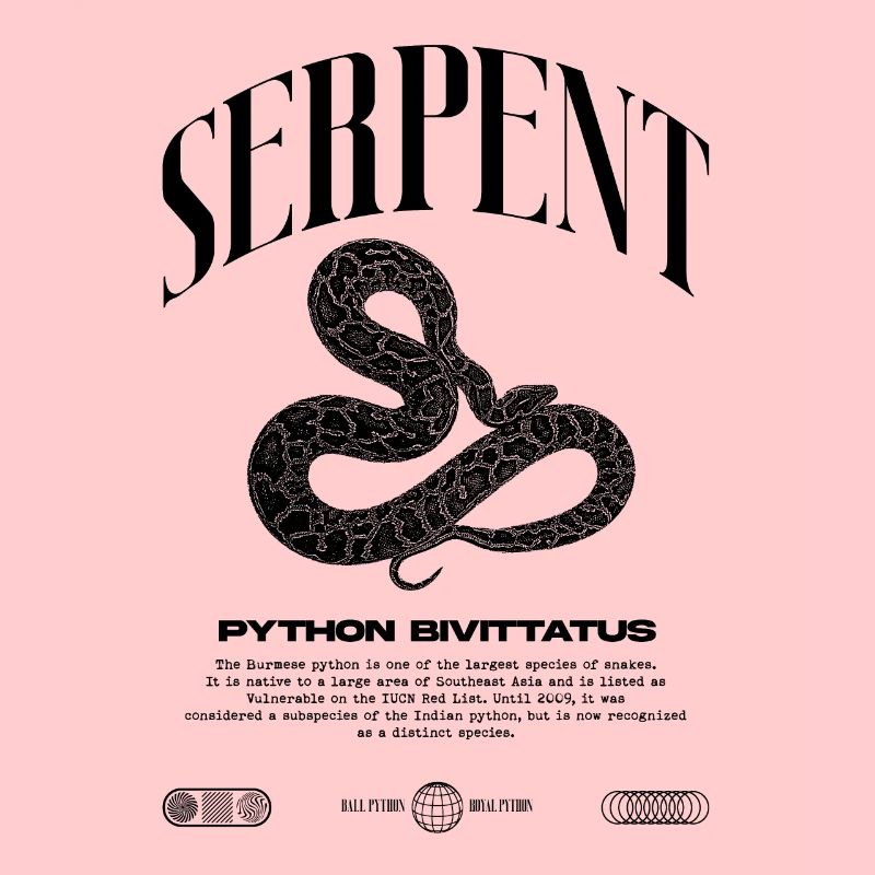 Burmese Python Modern Reptile Keeper Streetwear