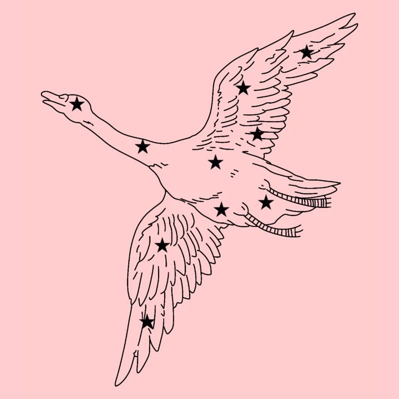 Constellation