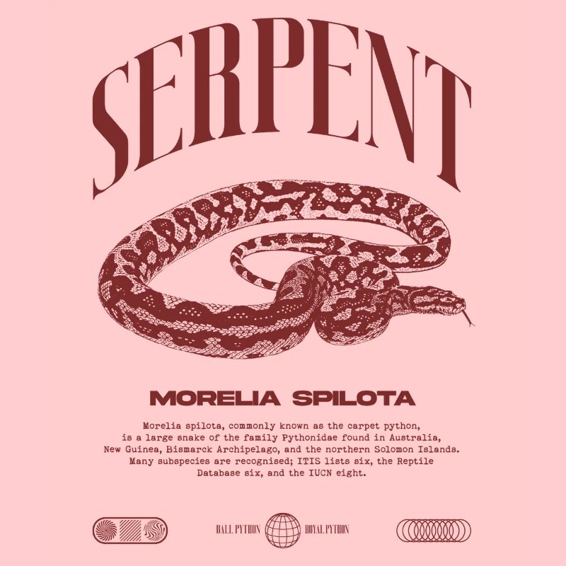 Tapis Python Moderne Reptile Keeper Streetwear