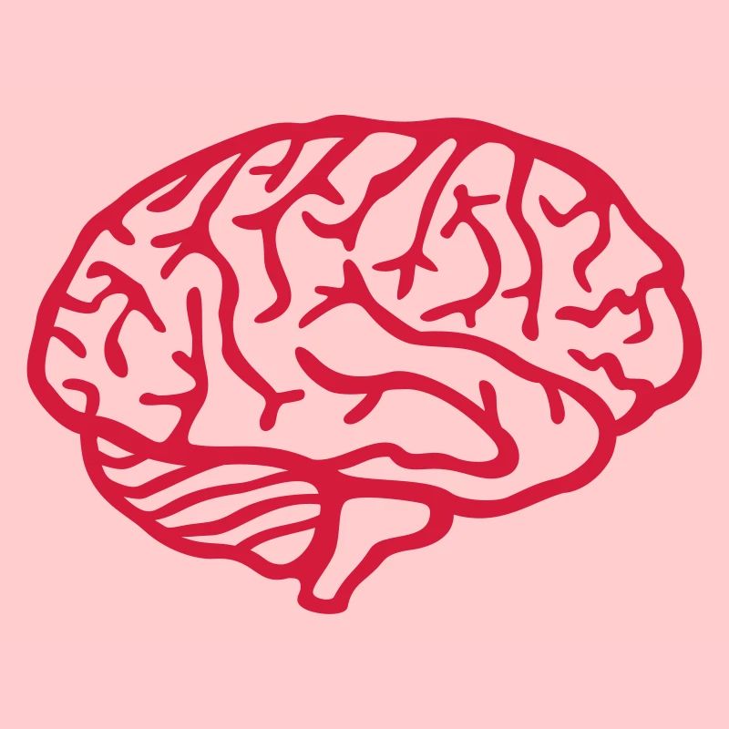 Brain