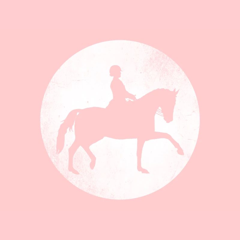 Tunierpferd con cavaliere