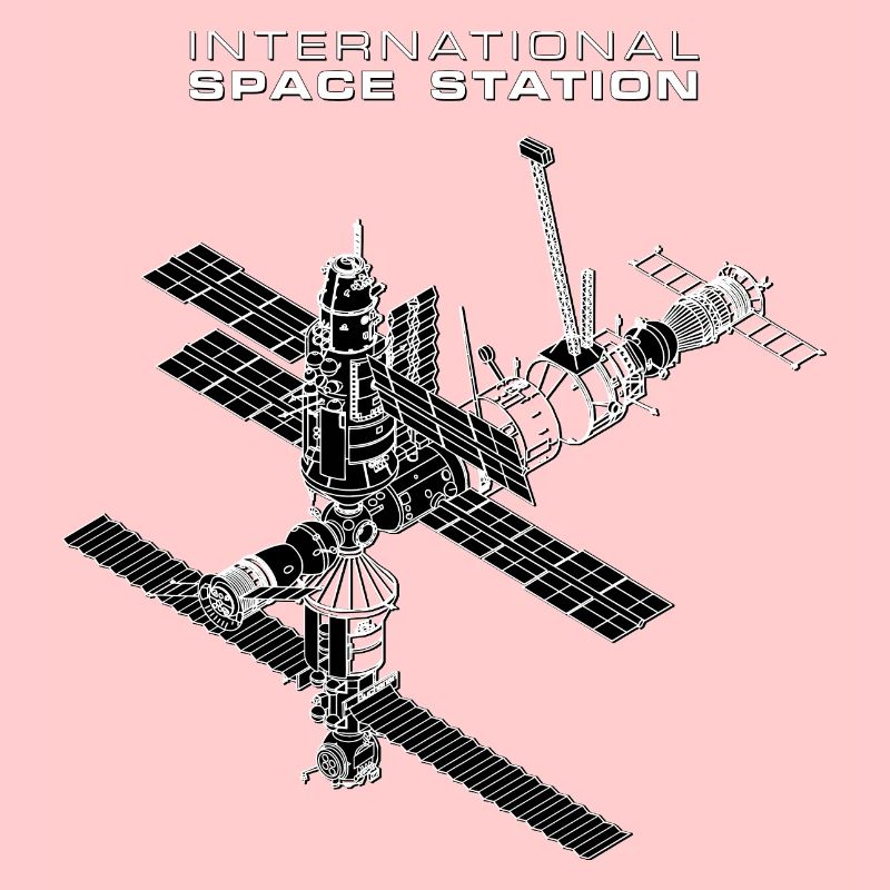 Station spatiale internationale avec Soyouz