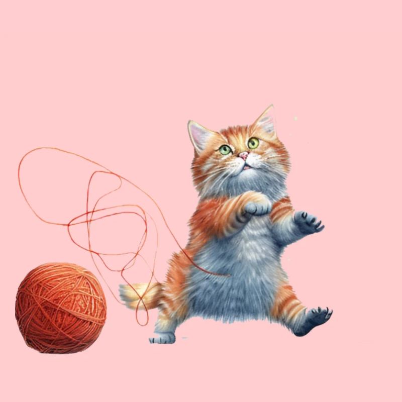 Chat avec de la laine