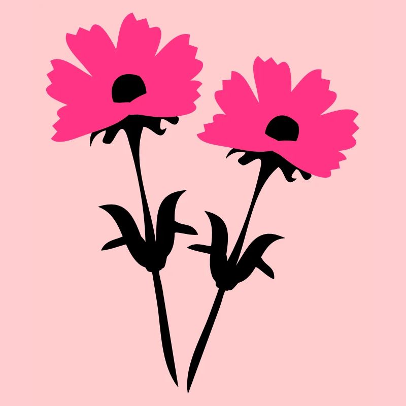 cosmos_flowers