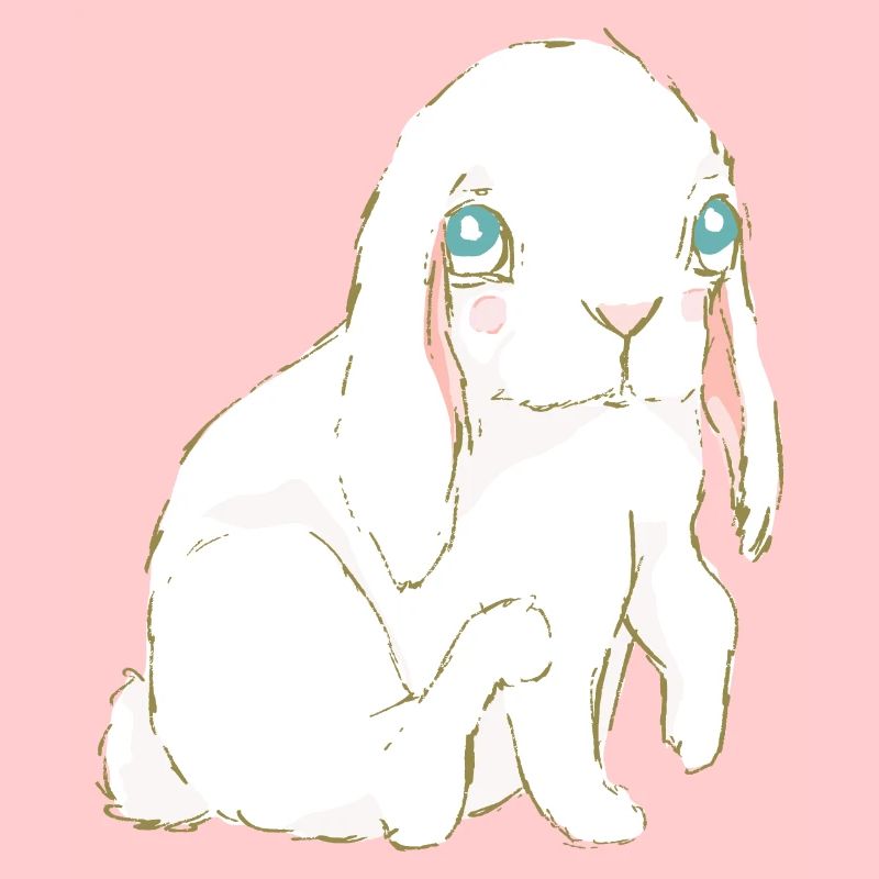 Rabbit