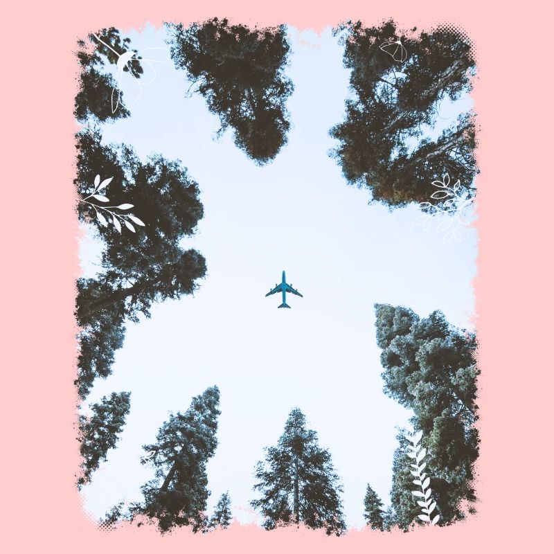 Forêt