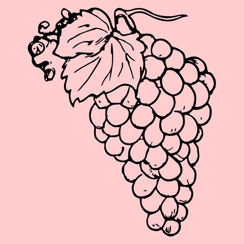Grape Grapes Illustration Vector Gift Idea