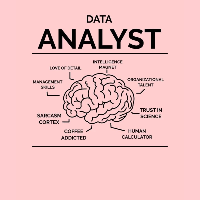 Data Analyst