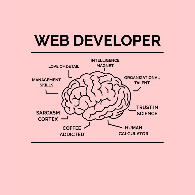 Web Developer Programmer