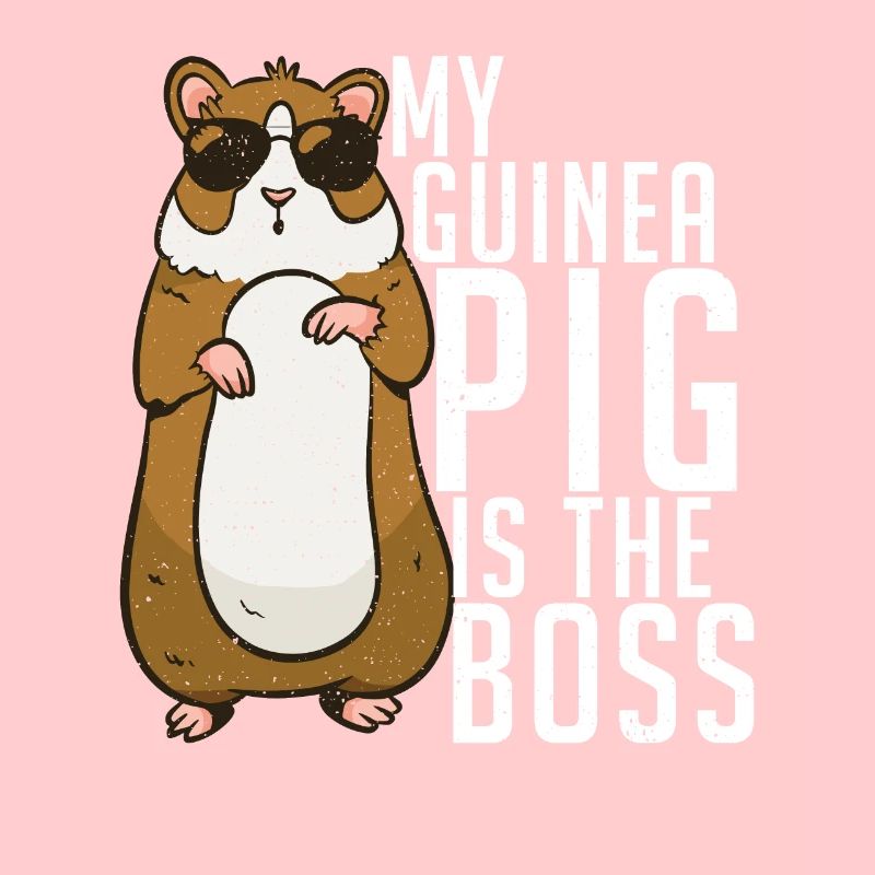 Süßes Meerschweinchen Geschenk