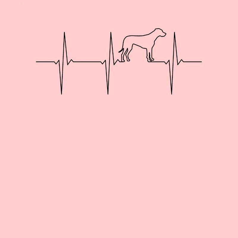 Rhodesian Ridgeback EKG Herzschlag