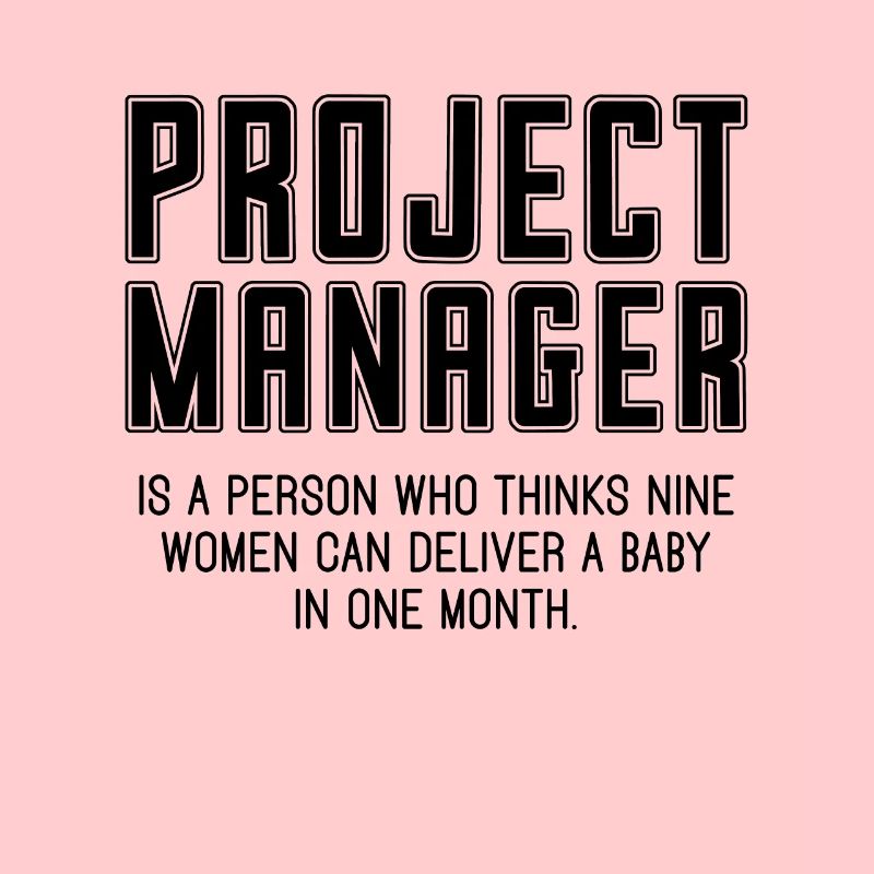 Project Manager Is A Profession Project Managers