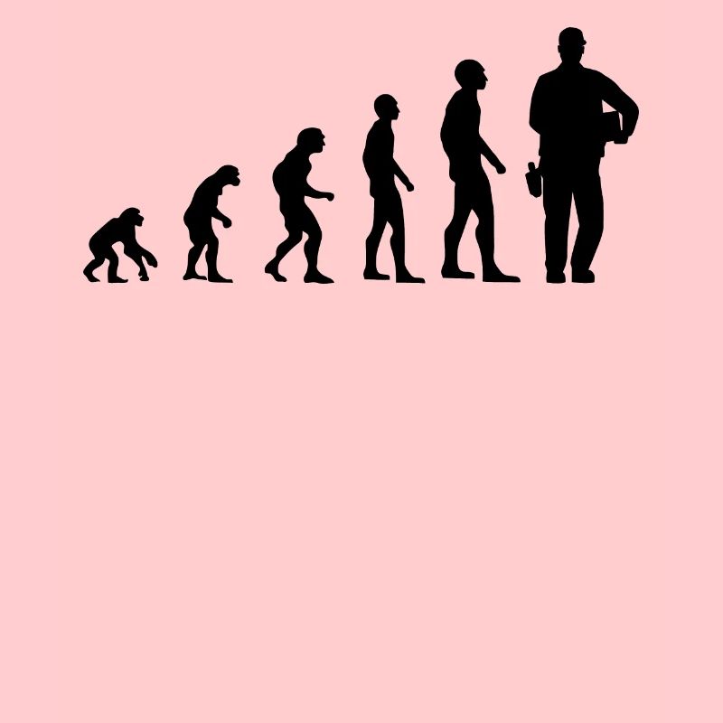 Postman Evolution Livraison Cadeau Postman