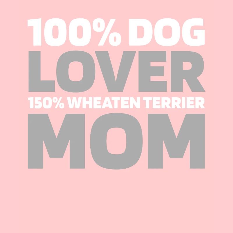 Terrier froment