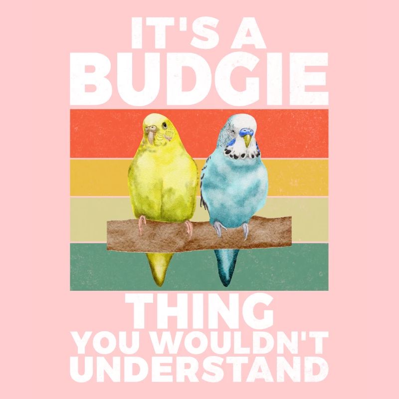 Budgie Gift