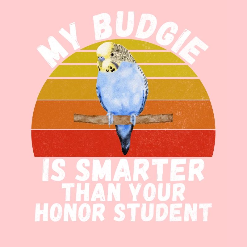 Budgie Gift