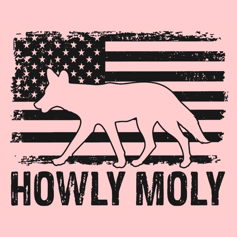 Conception de coyote pour les réacteurs de coyote