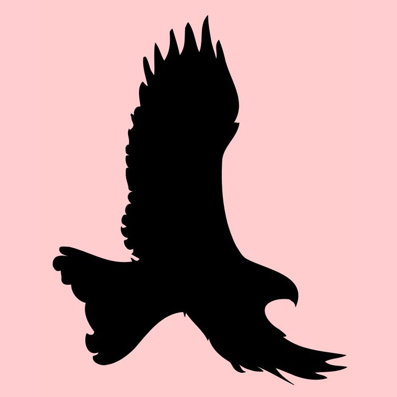 Adler Silhouette