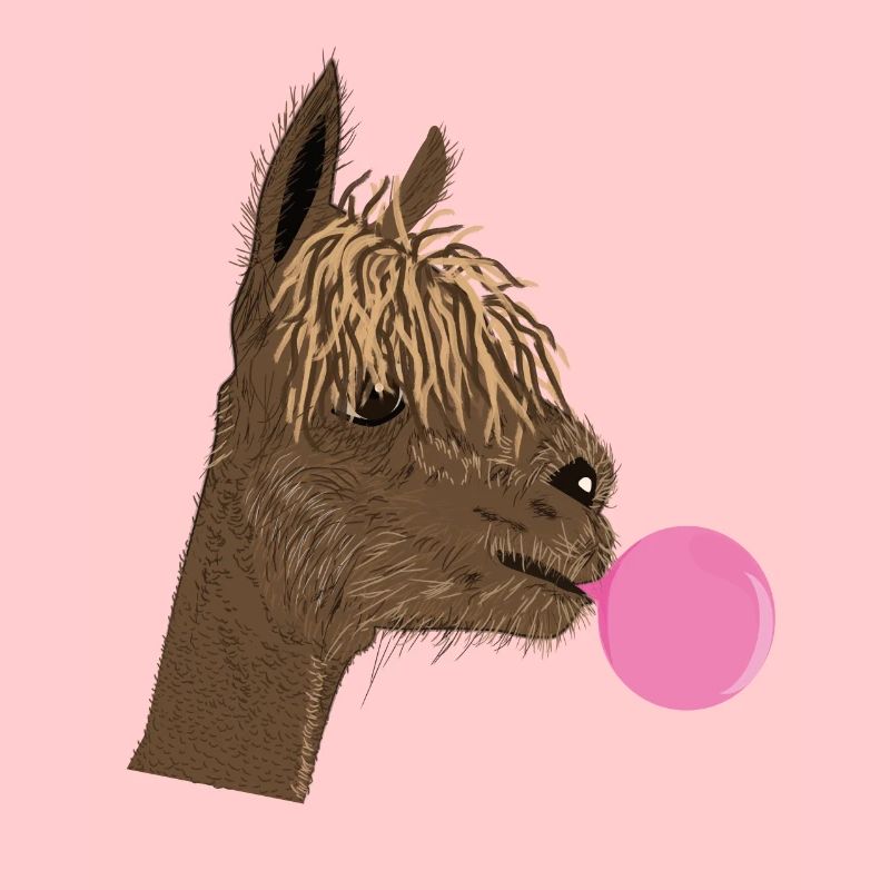 Alpaga avec chewing-gum