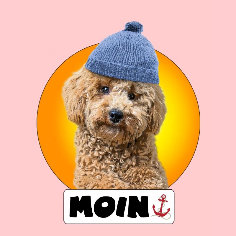 Pudel mit Pudelmütze "Moin"