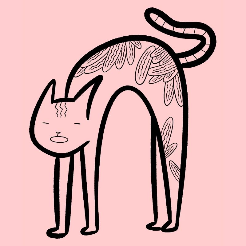 Drôle de chat