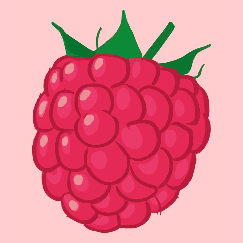 Himbeere Illustration Geschenkidee