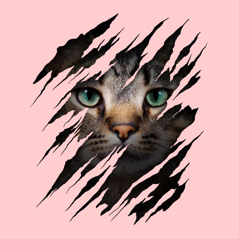 Cat with scratch - Cat face Scratch Cat