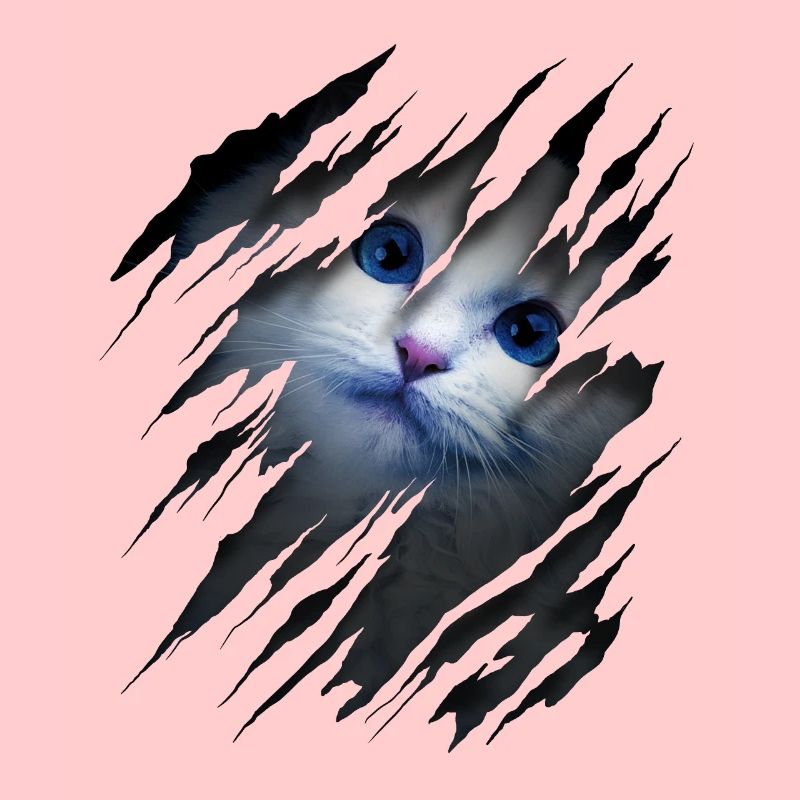 Katze mit Kratzer - Katzengesicht Scratch Cat