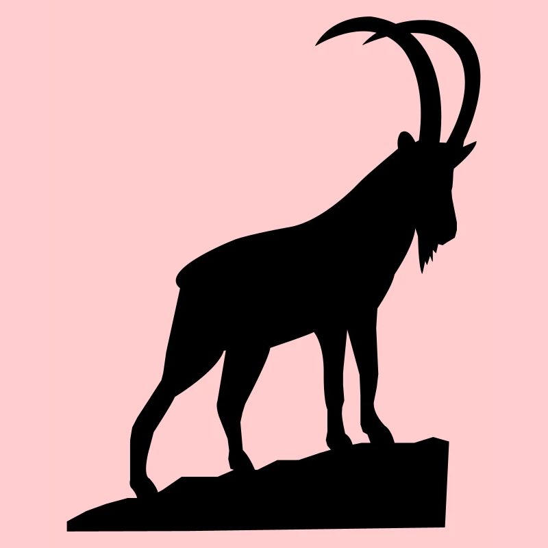 Capricorne