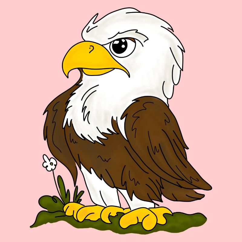 Aigle