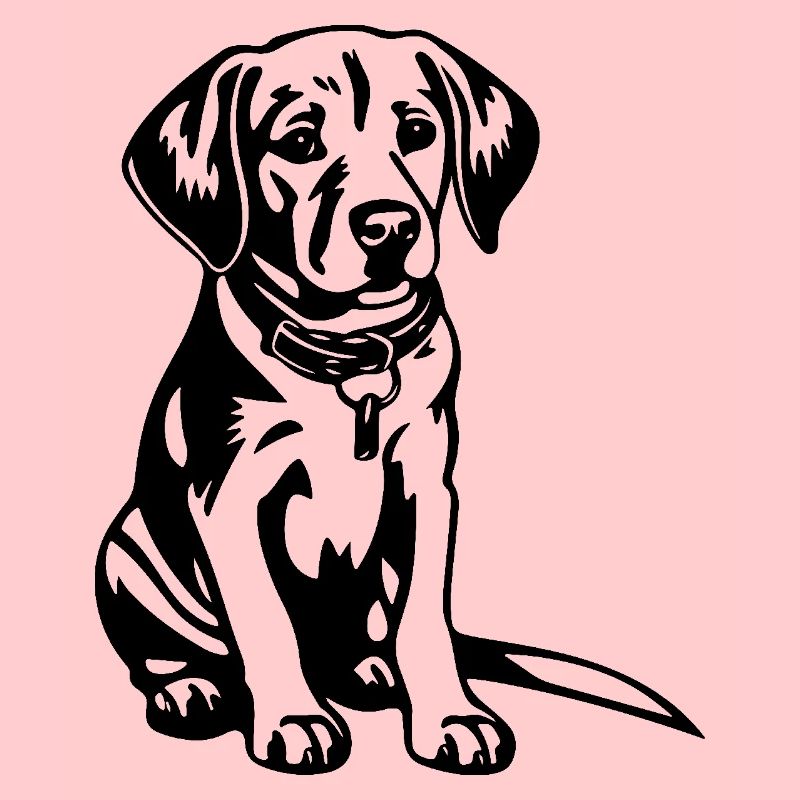 Beagle Hund