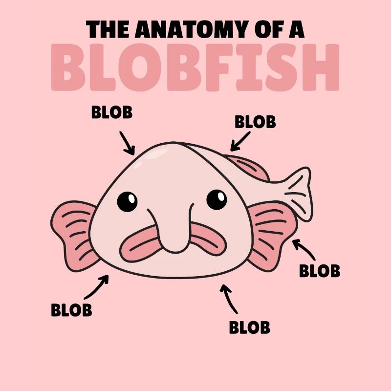 Blobfish Explication Anatomie d’un Blobfish