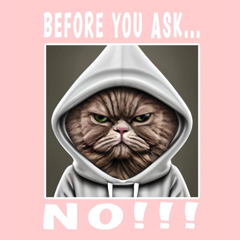 Before you ask no