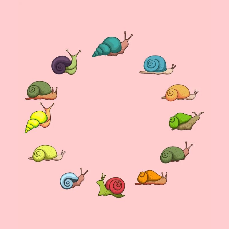Snails snail shell snail garden
