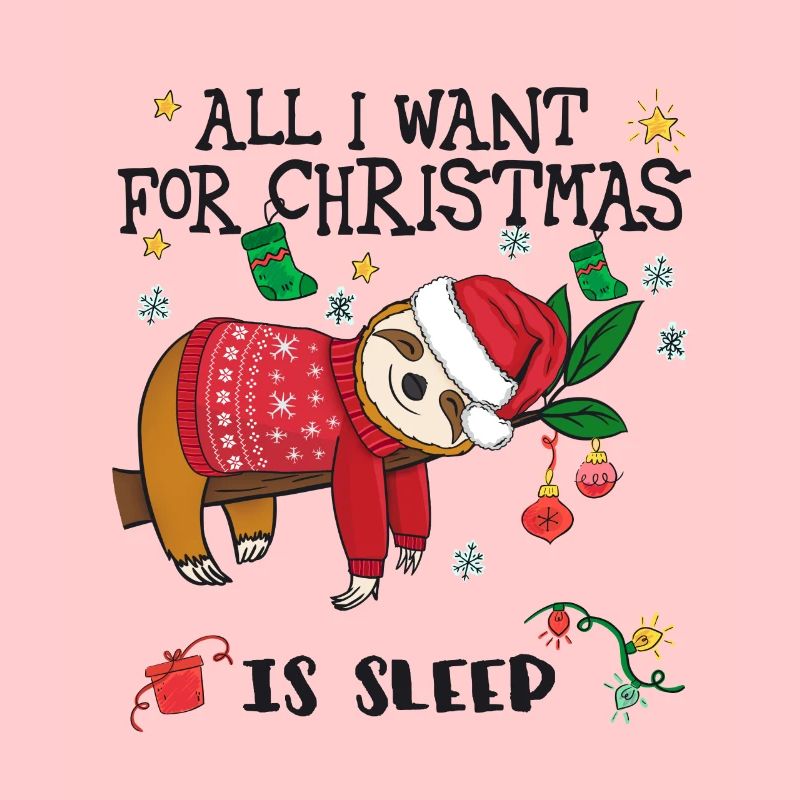 Faultier mit Weihnachtspullover