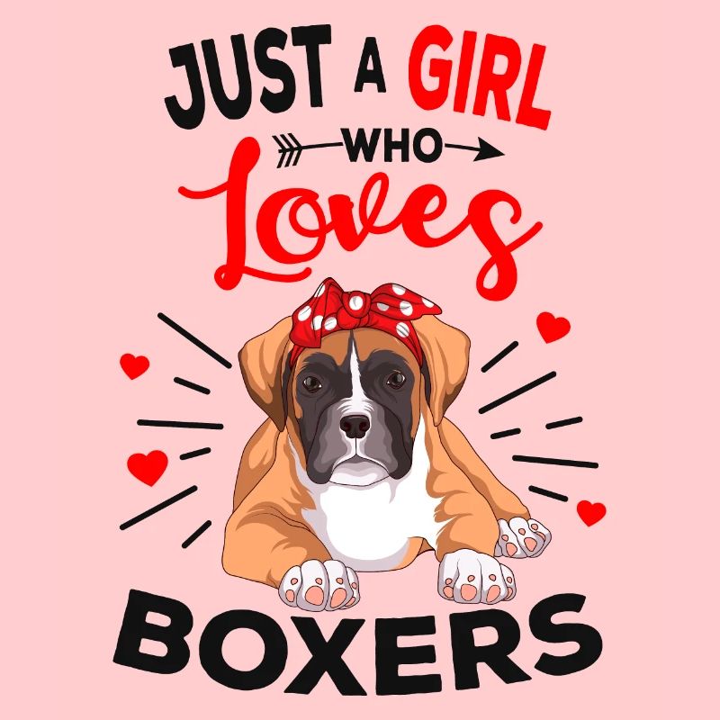 Boxer dog