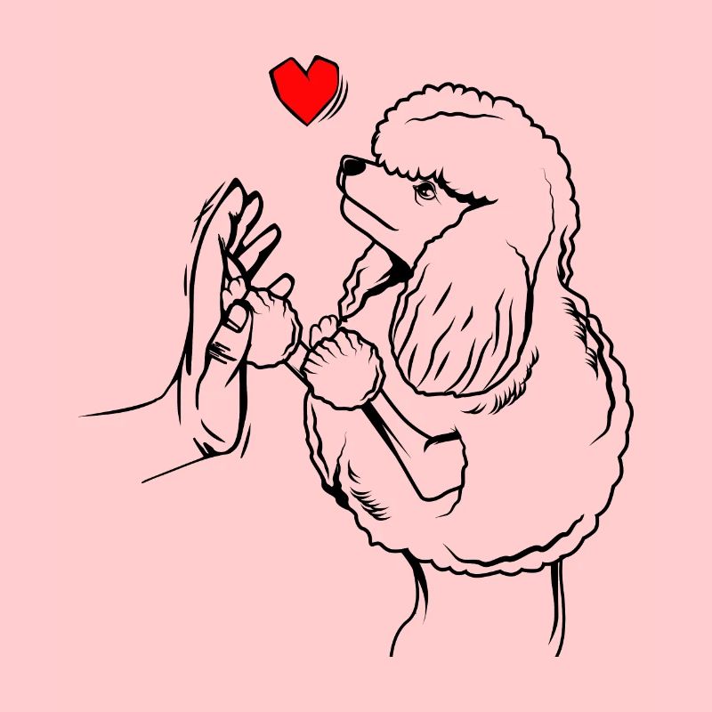 poodle