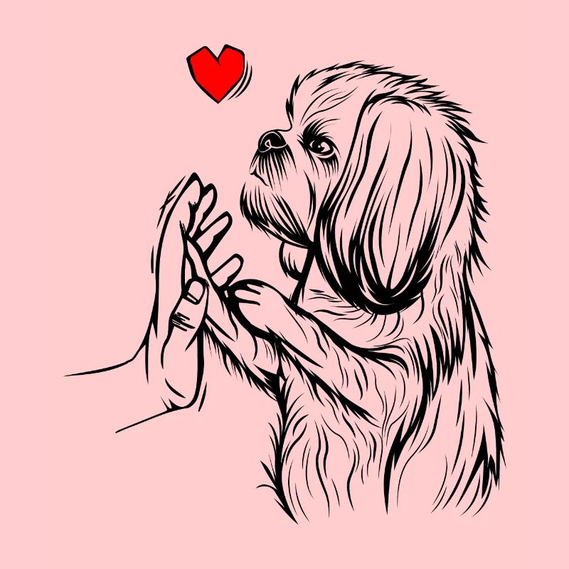Shih Tzu